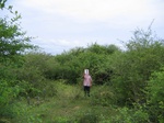 1170501-shrubland-2.5mb.jpg