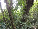 46827DSC02165.JPG
