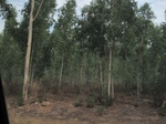 28120IMG_4929.JPG