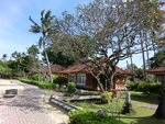 30486CIMG2070.JPG