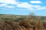 28675P1010692-1.JPG