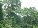 49463CIMG5800.JPG