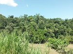 5737100_1320.JPG