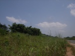 8942RIMG0016.JPG
