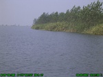1416R0015157_tag.jpg