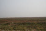 4113IMG_8748.JPG