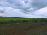 56041CIMG6730.JPG