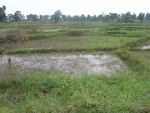 34610RIMG0077.JPG