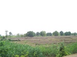 17461100_2150.JPG