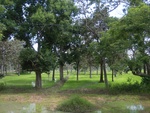 33443RIMG0183.JPG
