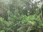 47481CIMG3818.JPG