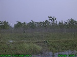 1280R0015089_tag.jpg
