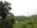 16352IMG_5136.JPG