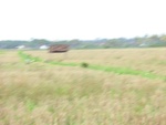 31022CIMG0884.JPG