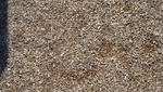 9728DSC01404.JPG