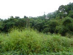 20524P1020381.JPG