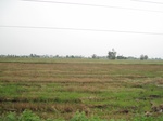 28344IMG_5208.JPG