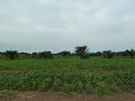 18734P1000572.JPG