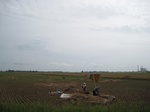 15583IMG_4653.JPG