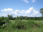 32520p177.jpg