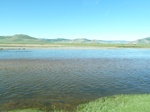 24079P1050504.JPG