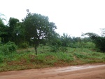 20544P1020401.JPG