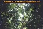 40450ANH1470.JPG