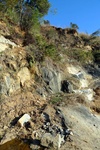 28730P1010756-1.JPG