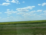 29026CIMG0725.JPG