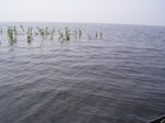 688R0015196.jpg
