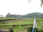 15276IMG_4101.JPG