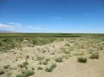 36923CIMG0712.JPG