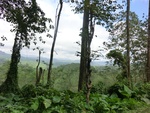 31143CIMG1005.JPG