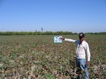 10198026-Farm land (Surface water) Cotton-a.jpg