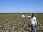 10198026-Farm land (Surface water) Cotton-a.jpg