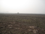 8412IMG_0237.JPG