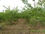 18638P1000476.JPG