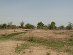 19085P1000930.JPG