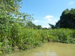 54605Bulungan (100).JPG