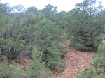 38246CIMG1552.JPG
