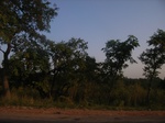 9020RIMG0097.JPG