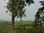 32755CIMG1887.JPG