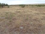 39283RETR20110907E.JPG