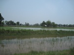 34520IMG_5503.JPG