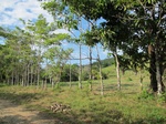 31973IMG_5621.JPG