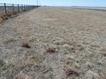 29223HOOK20110406S.JPG