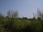 8959RIMG0034.JPG