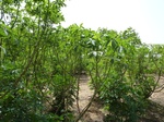 19132P1000977.JPG