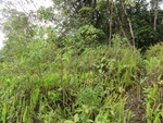46734DSC02070.JPG