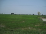 34528IMG_5511.JPG